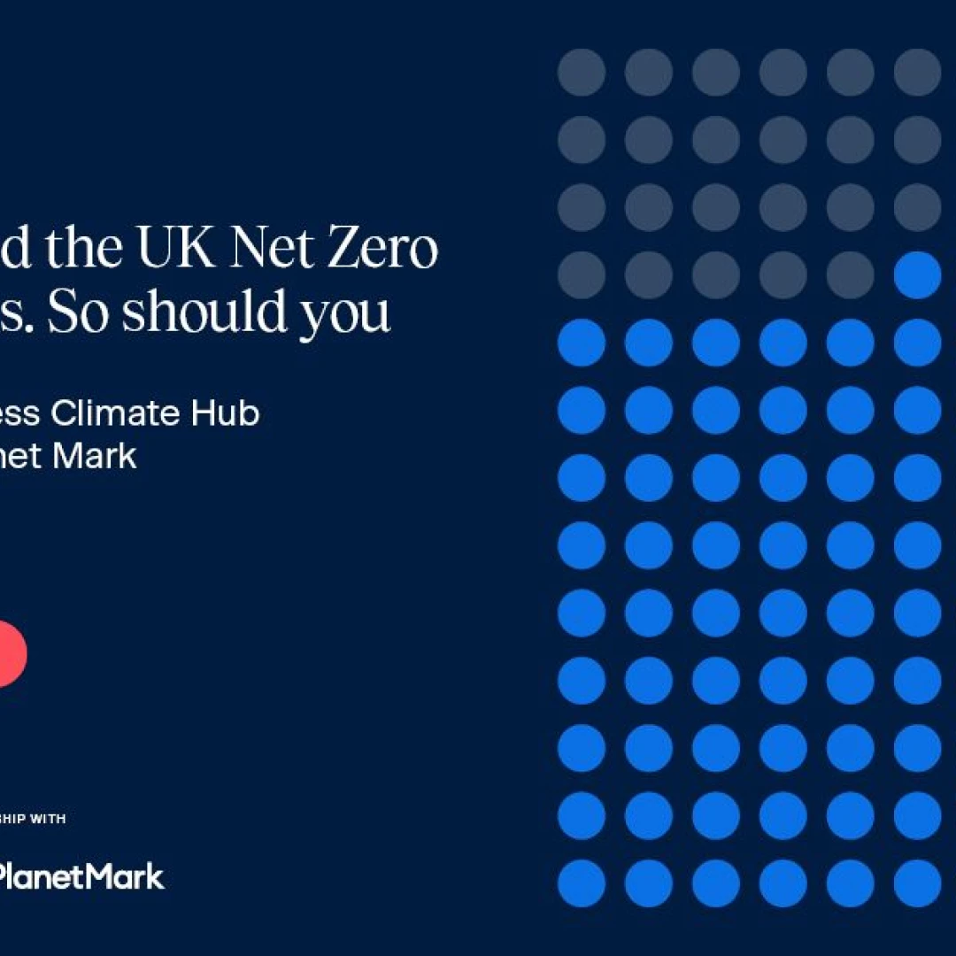 the UK Net Zero Business Census