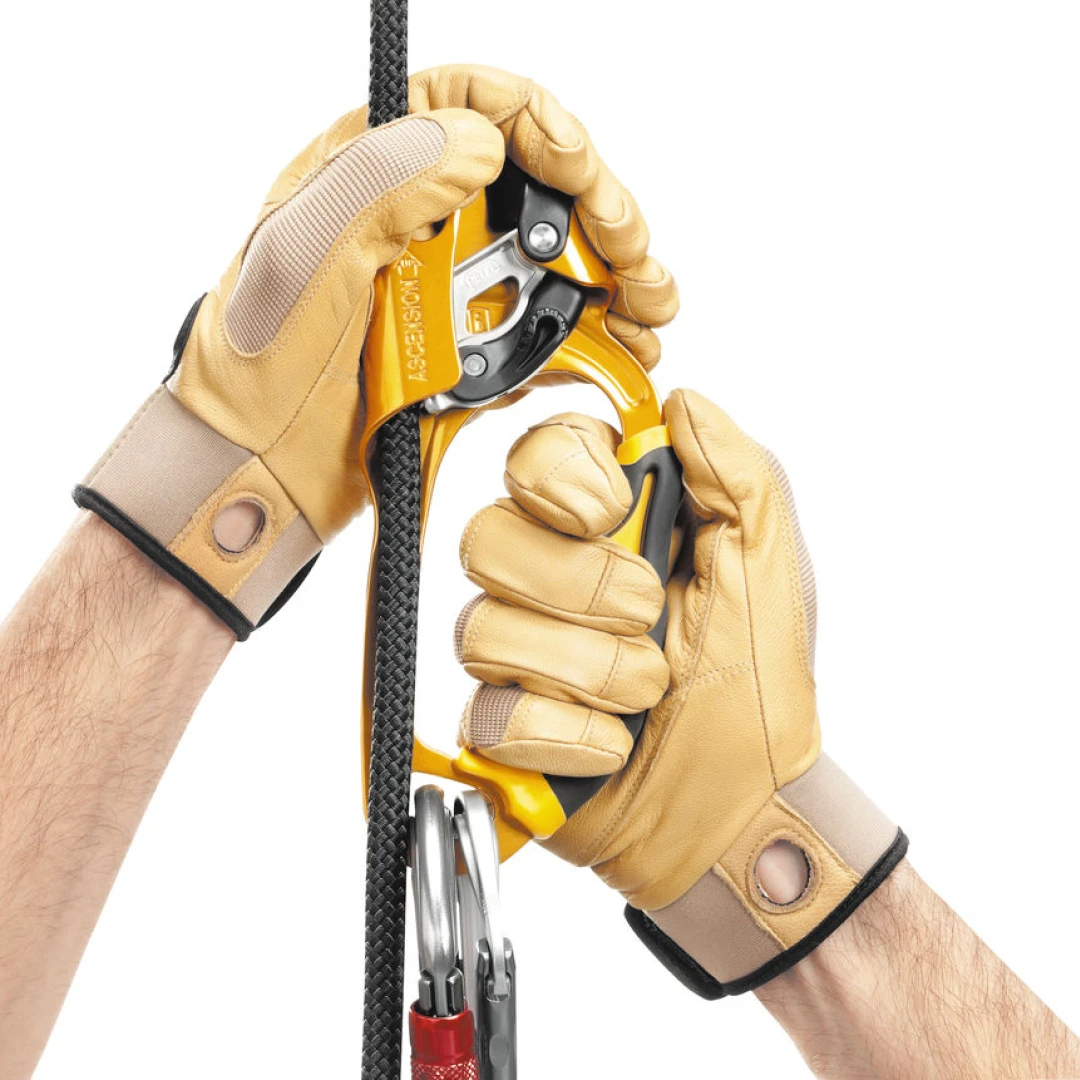 B17ARA Ascension right Focus 3LowRes