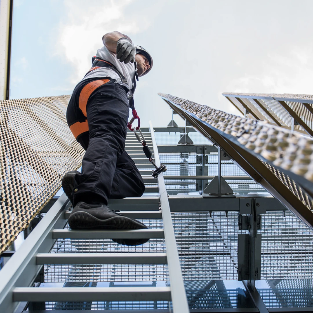 Safeladderfoto links