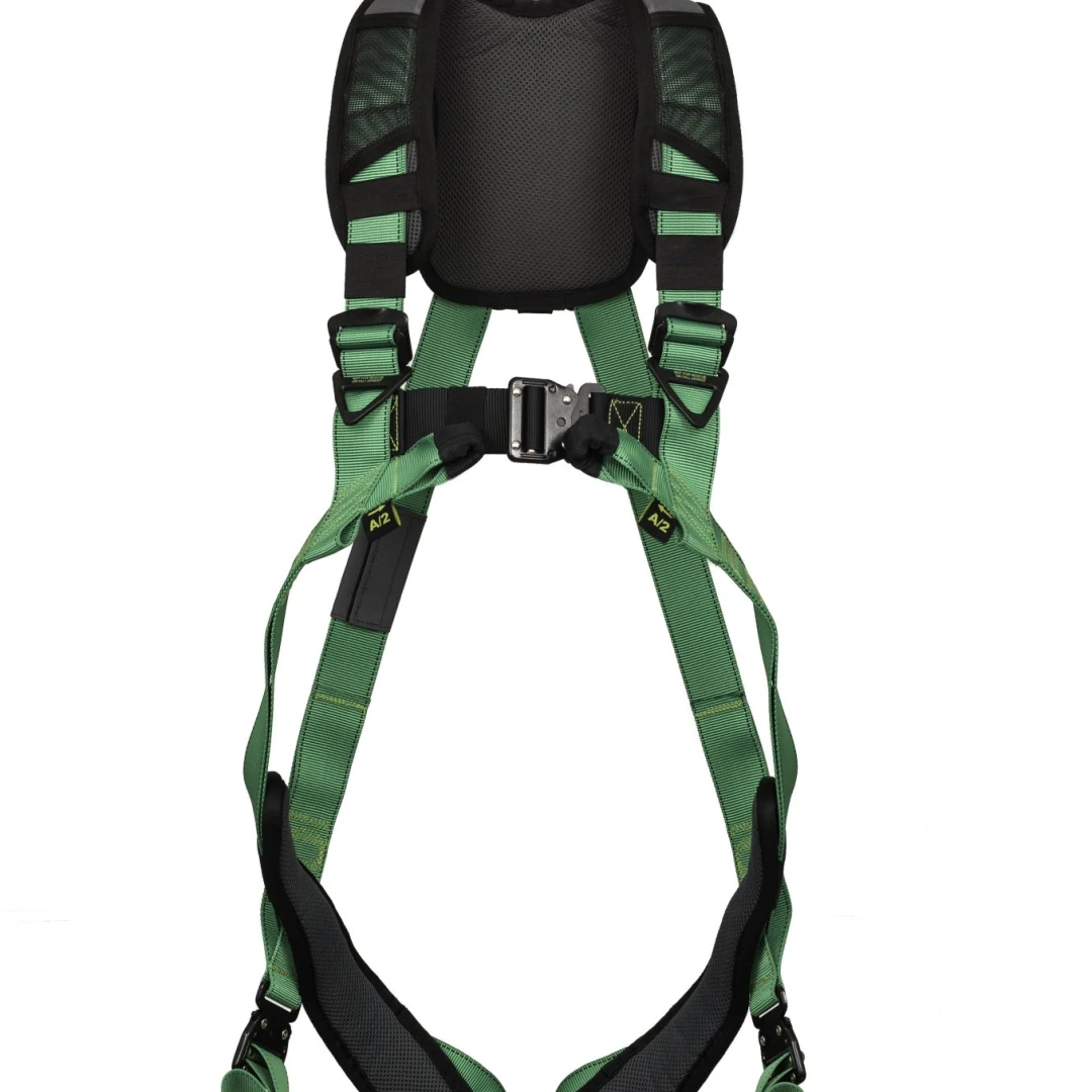 V FIT10180199front