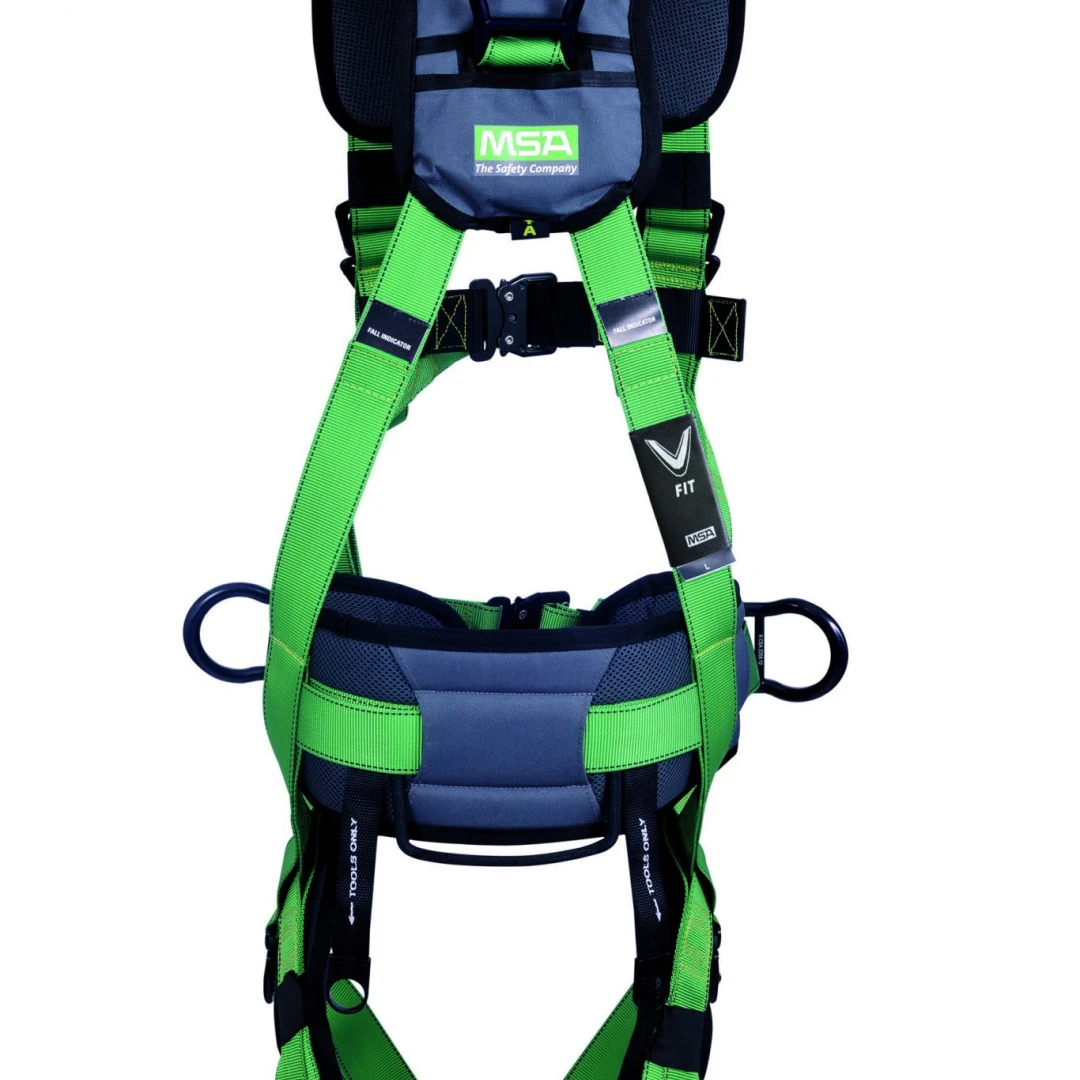 V FIT10180202back