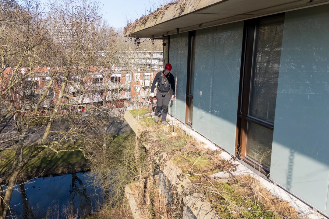Man loopt bij een reling naast een raam in de groenvoorziening. Deze man is aangelijnd met een harnas, helm.
