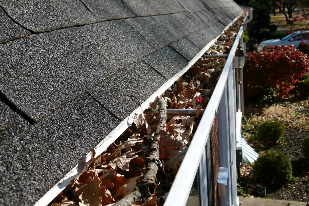 Gutter Cleaning