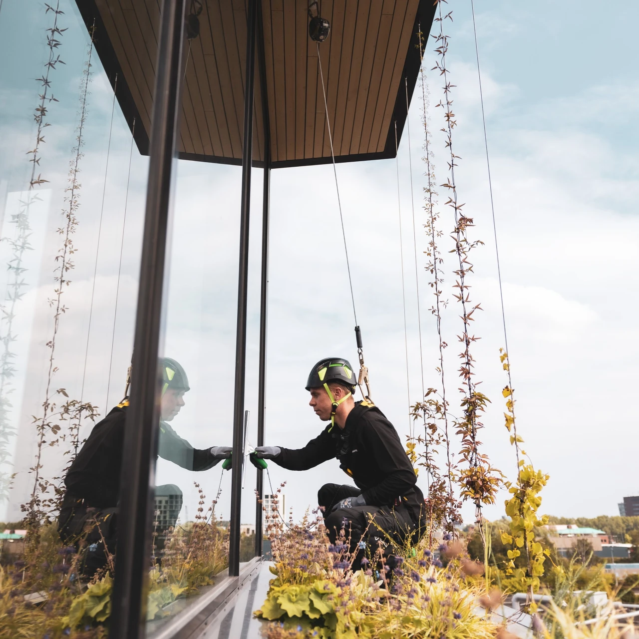 Een man die onderhoud pleegt aan een groengevel