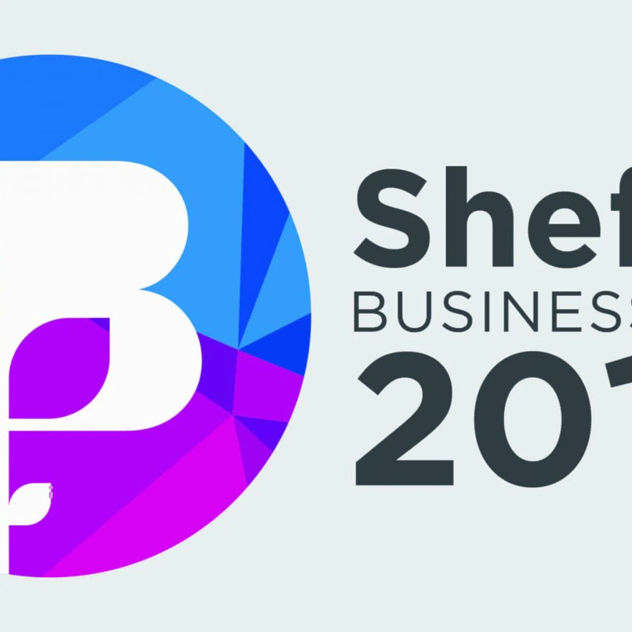 Sheffield Business Awards Winner 2019 Logo