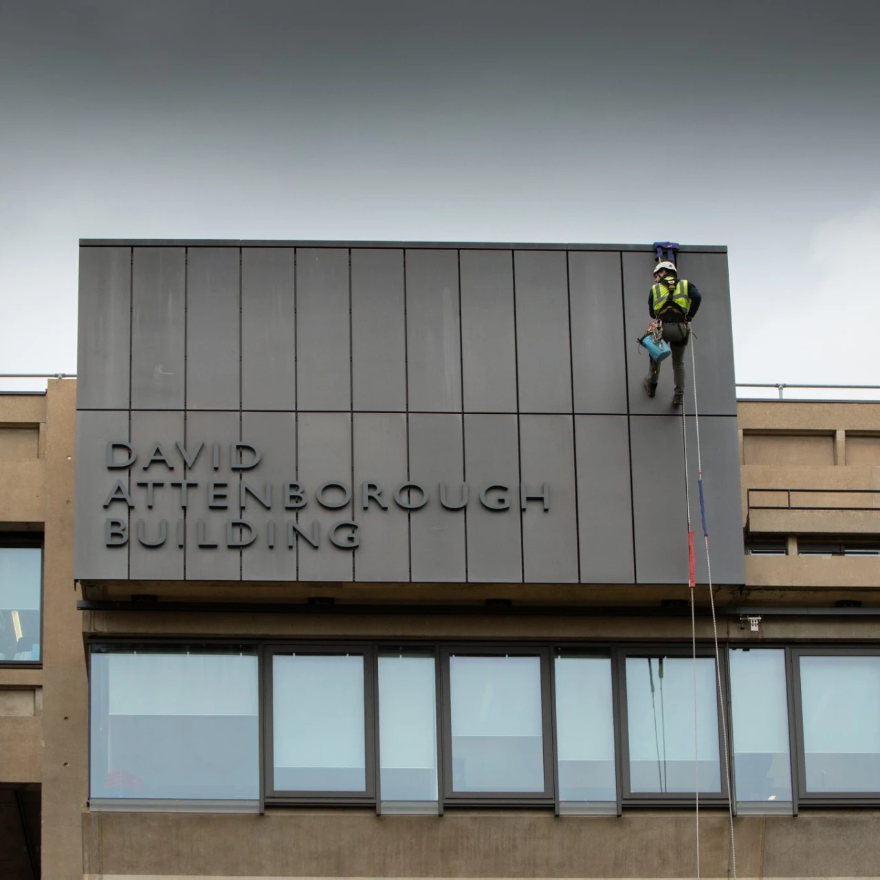 David Attenborough Building, Rope Access