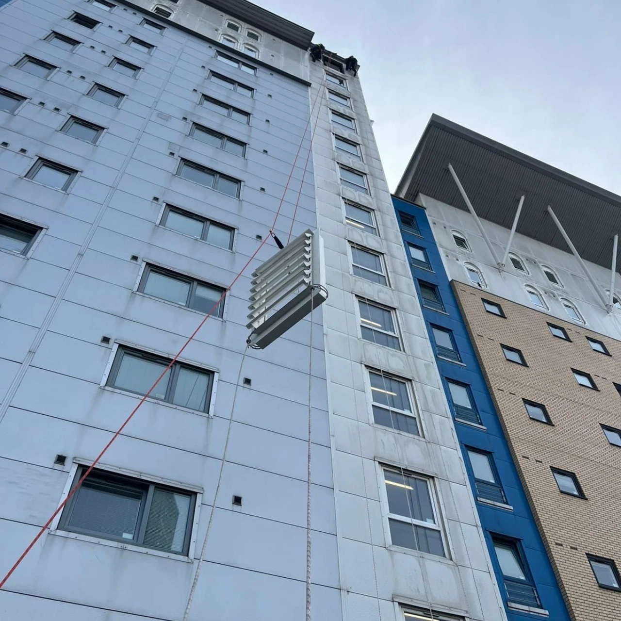 IQ Opal Court Case Study