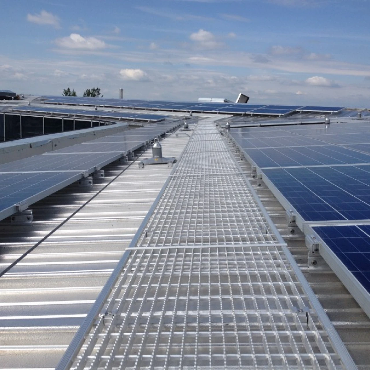 Teesside University walkway and ManSafe®