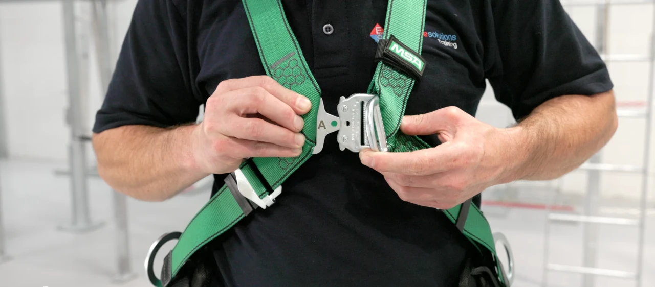 Full Body Harness
