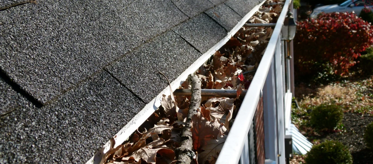 Gutter Cleaning