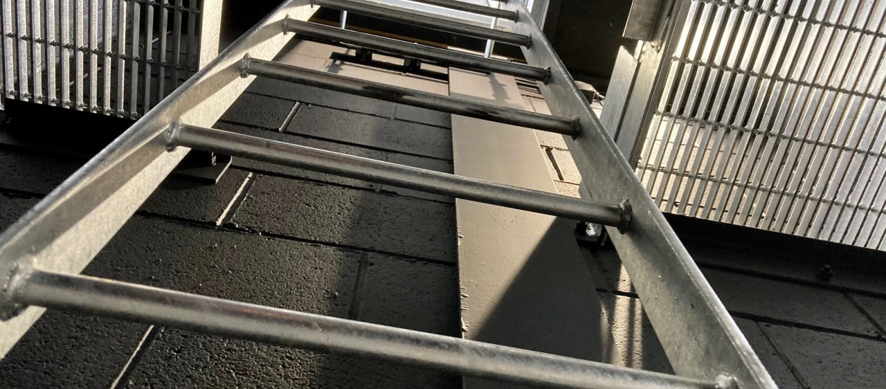Ladder & Stepladder Awareness (LLS01)