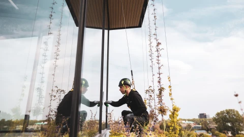 Een man die onderhoud pleegt aan een groengevel