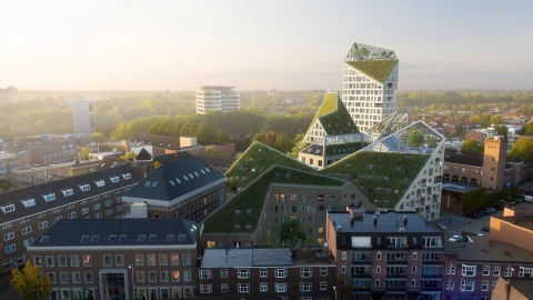 Nieuw Bergen