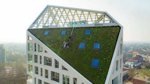 Nieuwe Bergen